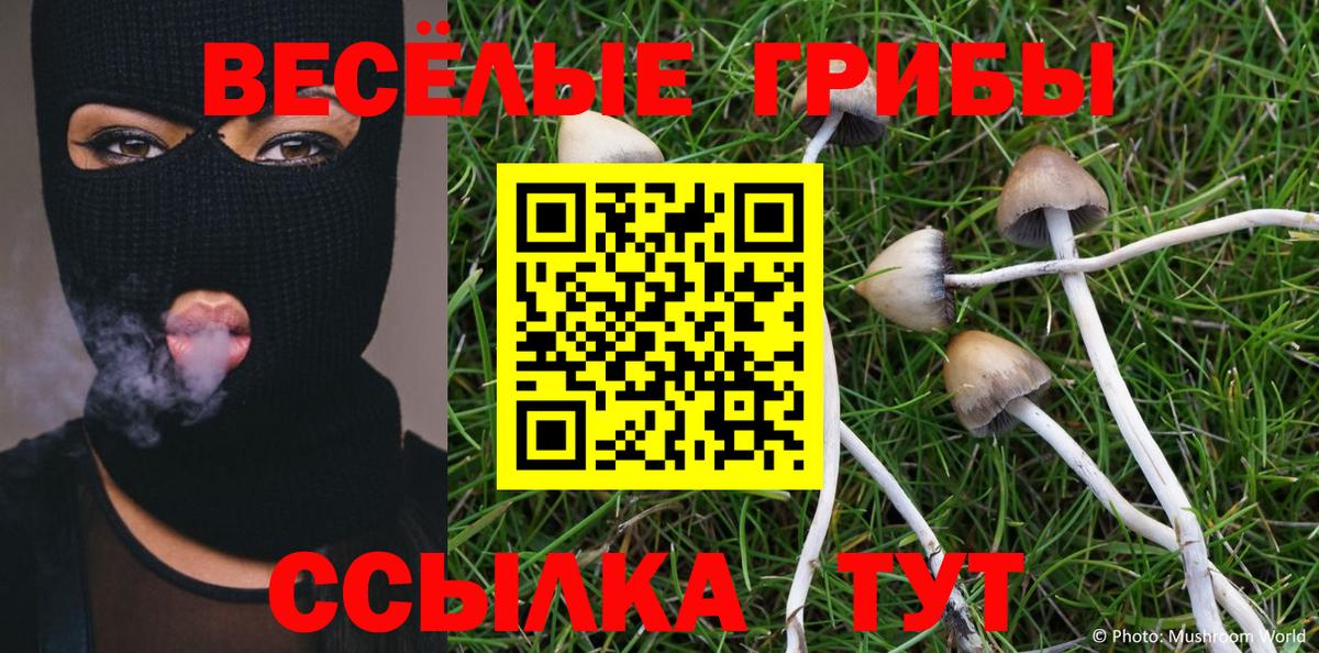 Псилоцибиновые грибы GOLDEN TEACHER Бердск
