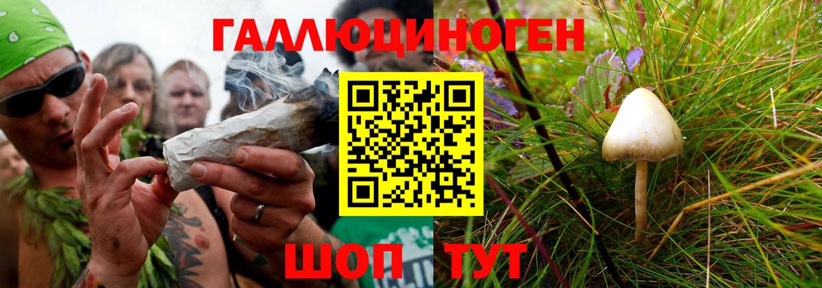Бердск  Галлюциногенные грибы ЛСД  Вход с VPN 