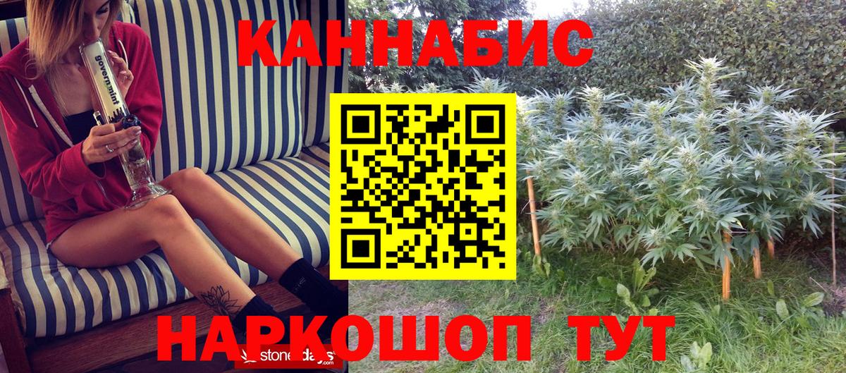 Шишки марихуана Ganja  МАРИХУАНА Bruce Banner  Вход с VPN  Бошки Шишки Ganja  МАРИХУАНА ГИДРОПОН  Бердск 